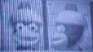 monkey.jpg